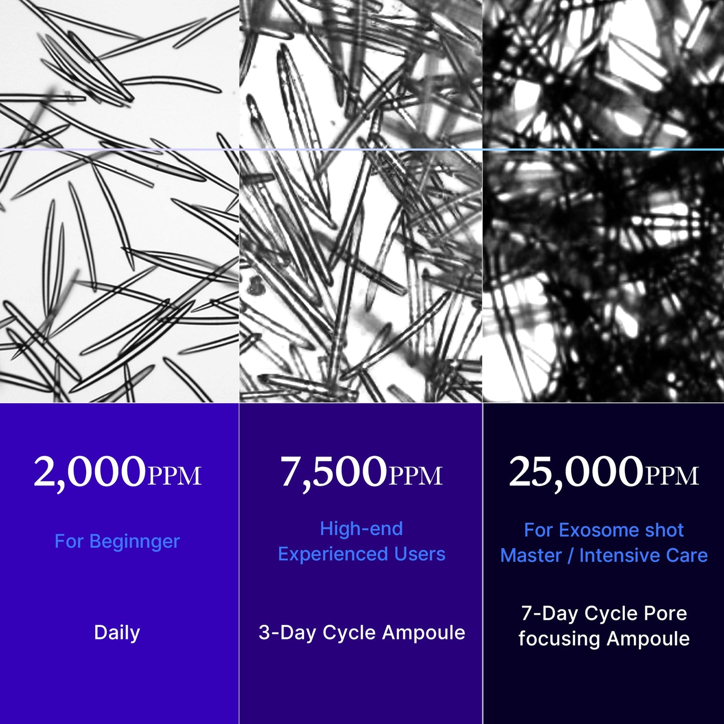 zero-exosome-shot-r8 25000_05.jpg