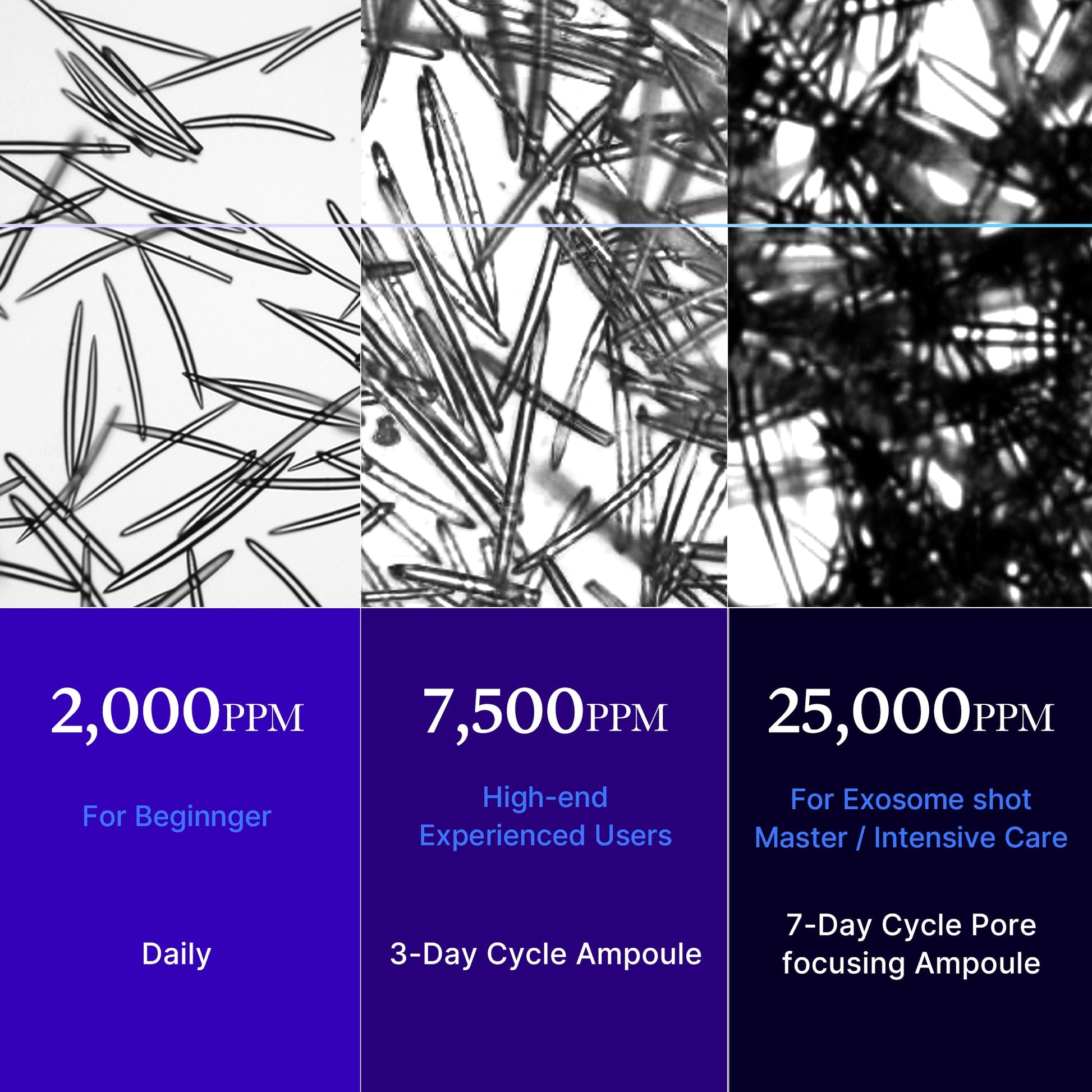 zero-exosome-shot-r8 25000_05.jpg